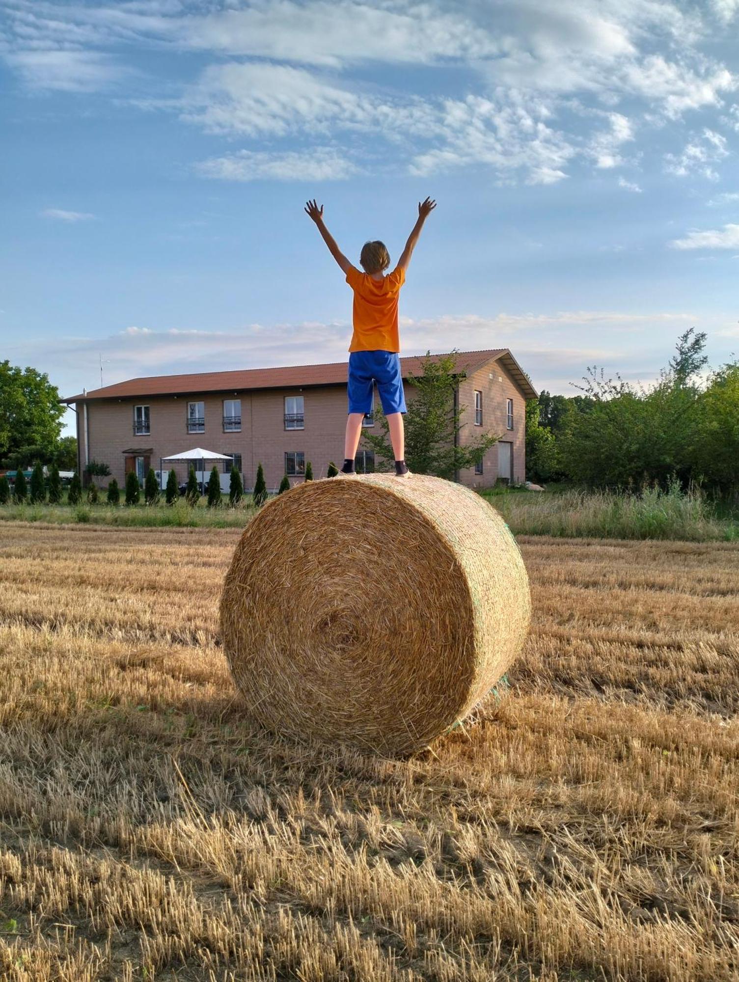 Agriturismo Campi Di Grano Roncade Zewnętrze zdjęcie