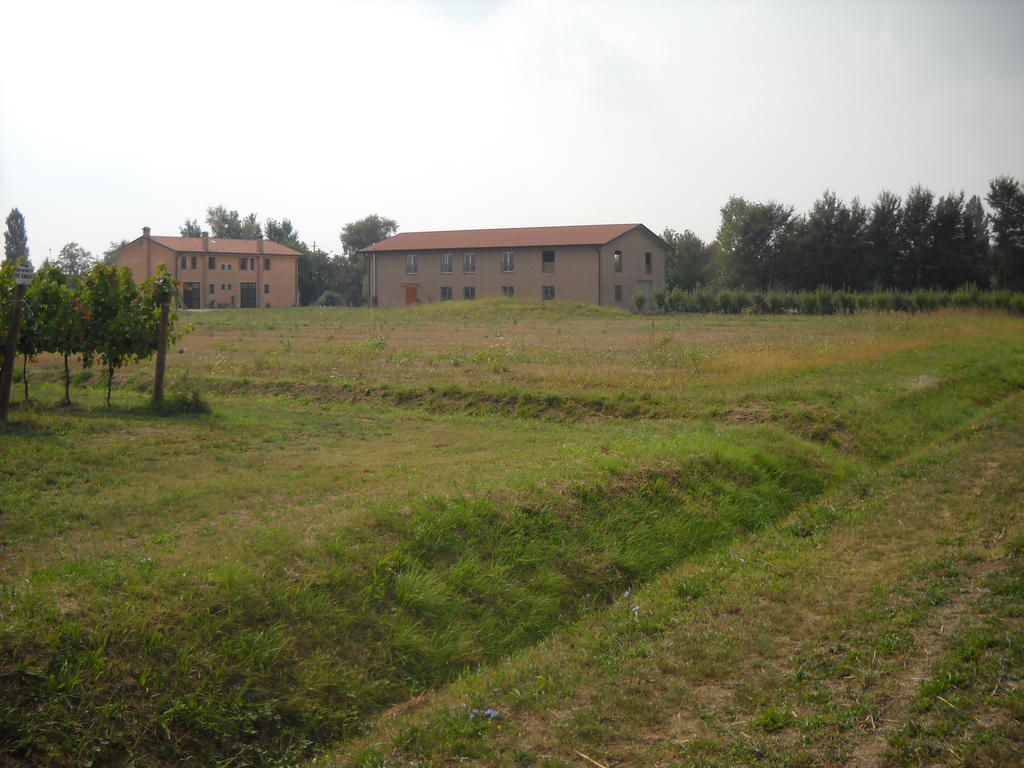 Agriturismo Campi Di Grano Roncade Zewnętrze zdjęcie